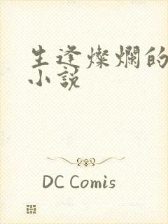 生逢灿烂的日子小说