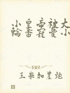 小皇帝被大臣们轮番宠爱小说