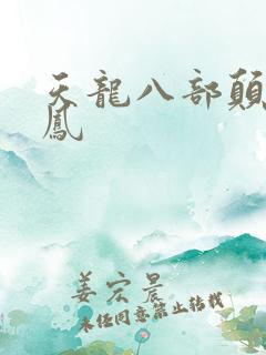 天龙八部颠龙鸾凤
