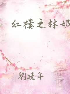 红楼之林奶奶
