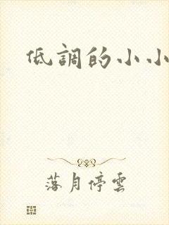 低调的小小宫女