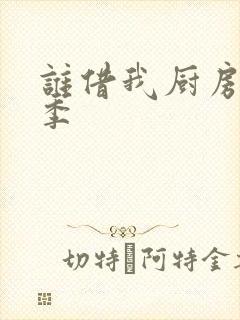 谁借我厨房第三季