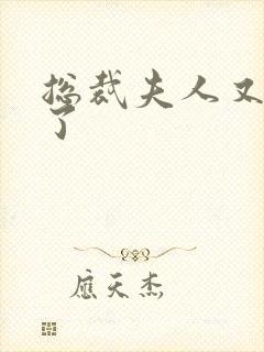 总裁夫人又征婚了