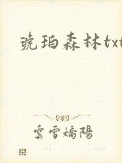 琥珀森林txt
