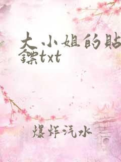 大小姐的贴身保镖txt