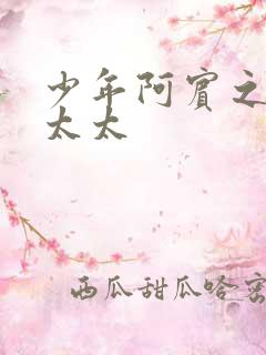 少年阿宾之房东太太