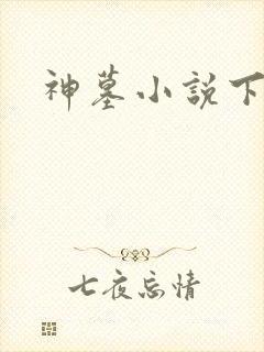 神墓小说下载