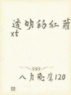 透明的红萝卜txt