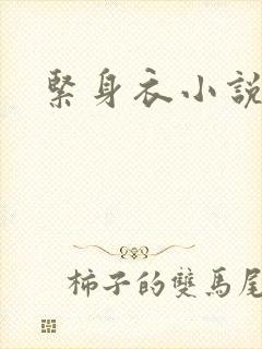 紧身衣小说
