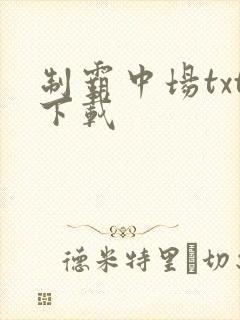 制霸中场txt下载