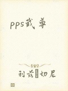 pps武尊