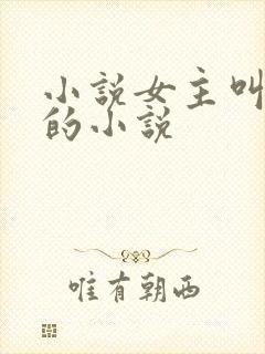 小说女主叫洛蓝的小说