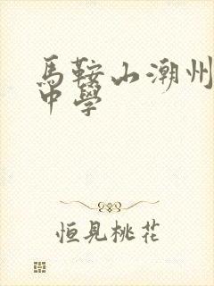 马鞍山潮州会馆中学