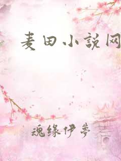麦田小说网