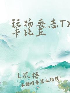 玩物丧志TXT卡比丘