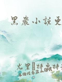 黑岩小说更新吧