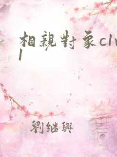 相亲对象c1v1