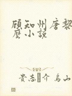 顾知州唐黎叫什么小说