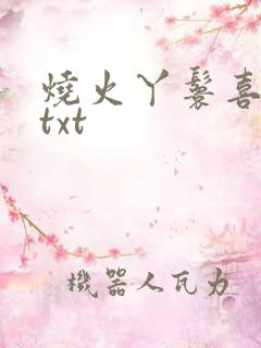 烧火丫鬟喜洋洋txt