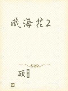 藏海花2