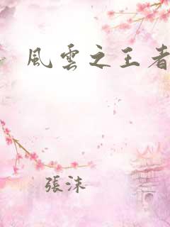 风云之王者人生