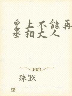 皇上不能再进了丞相大人