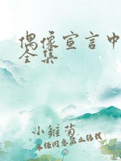 偶像宣言中文版全集