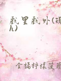 戏里戏外(现场h)