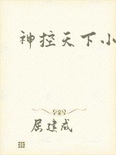 神控天下小说