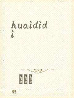 huaididi
