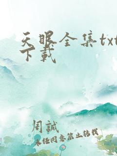 天眼全集txt下载