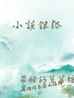 小说银狐