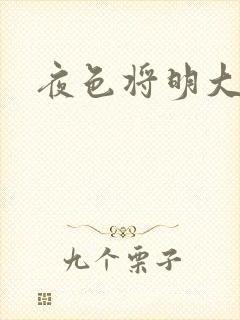 夜色将明大结局