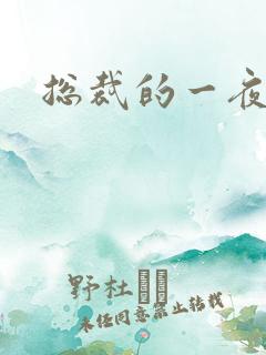 总裁的一夜情人