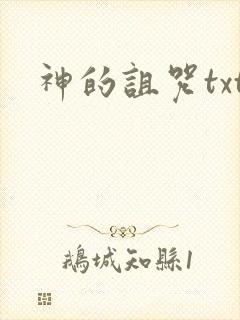 神的诅咒txt