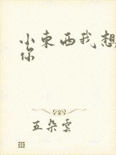 小东西我想弄坏你