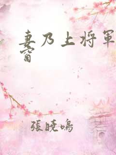 妻乃上将军无弹窗