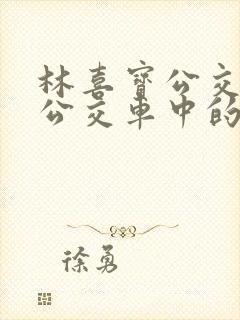 林喜宝公交车(公交车中的林喜宝)