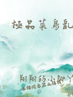 极品菜鸟乱江湖