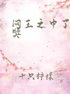 网王之中了特等奖