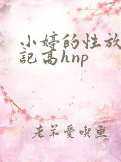 小婷的性放荡日记高hnp