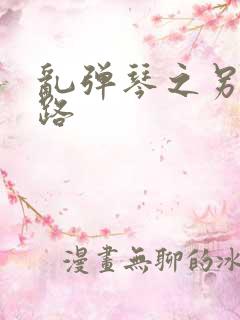 乱弹琴之另一条路