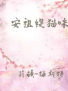 安祖缇猫咪抱抱