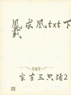 凤求凰txt下载