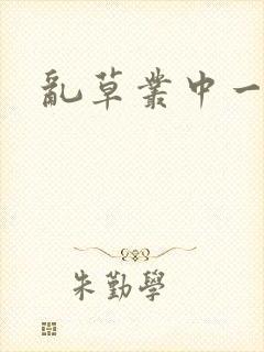 乱草丛中一杆枪