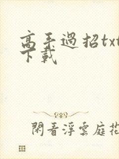 高手过招txt下载