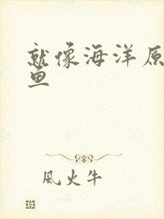 就像海洋原谅了鱼