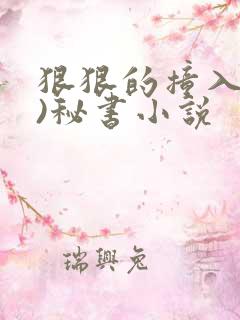 狠狠的撞入(h)秘书小说