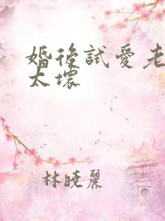 婚后试爱老公别太坏