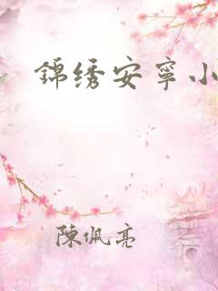 锦绣安宁小说